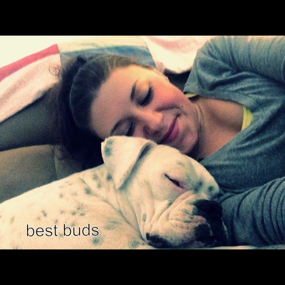 Meet your Posher, Kayde - Picture 9 of 10